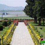 Embracing Beauty: A Visual Symphony of Kashmir