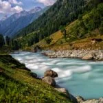 Wazwan Cuisine: A Culinary Odyssey Through Kashmir